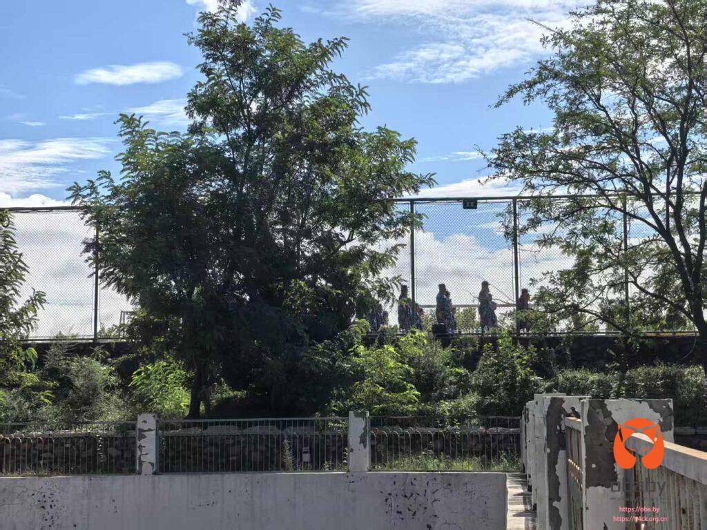 微信图片_20250915100349_135